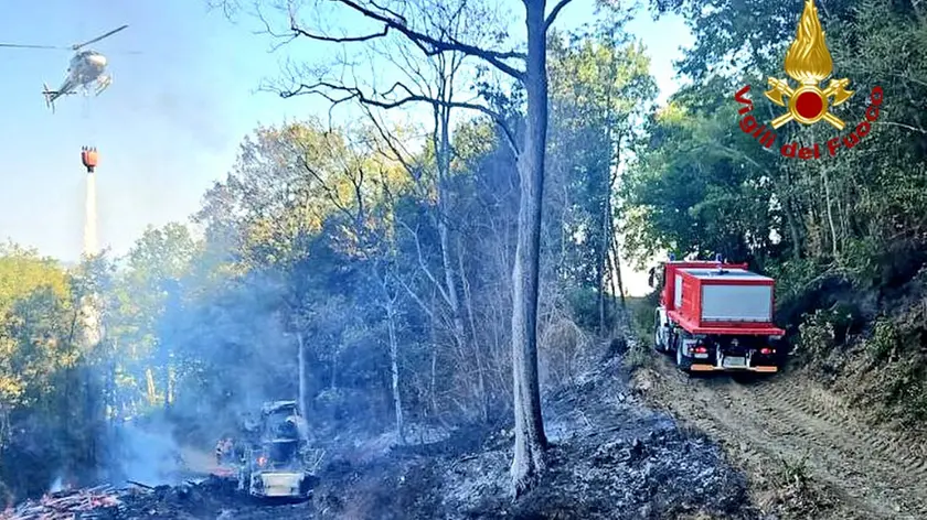 L'intervento dei vigili del fuoco nel bosco colpito dalle fiamme