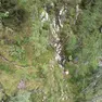La famiglia recuperata con l'elisoccorso a Sappada