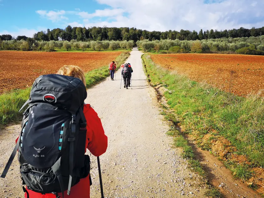 Turisti camminano verso Monteriggioni