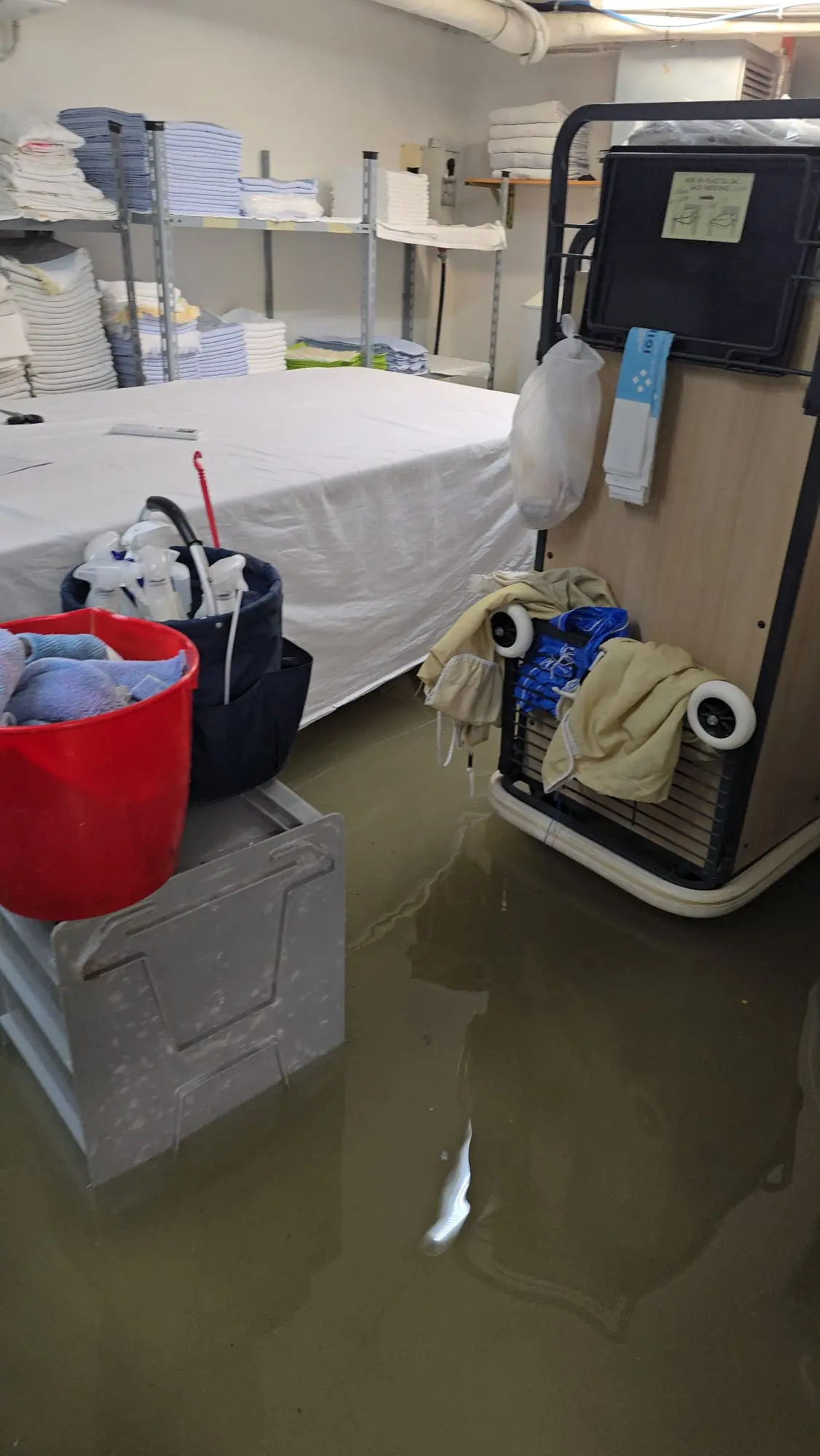 Le piogge intense delle prime ore del mattino hanno colpito duramente la costa friulana, in particolare la zona di Lignano Riviera. La situazione più critica si è registrata lungo via Casablanca, dove l’acqua ha invaso la carreggiata creando notevoli disagi alla circolazione. Tra le strutture coinvolte c’è anche l’Hotel Arizona, sommerso dall’acqua come documentano le immagini giunte in redazione. L’ondata di maltempo, che interessa tutta la regione sotto allerta arancione, non ha risparmiato nemmeno Bibione, dove si segnalano allagamenti e danni a esercizi e abitazioni private.