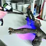 L’opera è stata digitalizzata con uno scanner 3D a luce strutturata