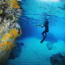 Rilievi e misurazioni sott’acqua compresi nell’attività di ricerca scientifica