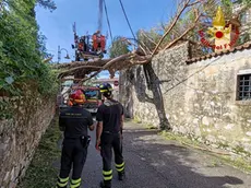 I vigili del fuoco mercoledì a Gorizia