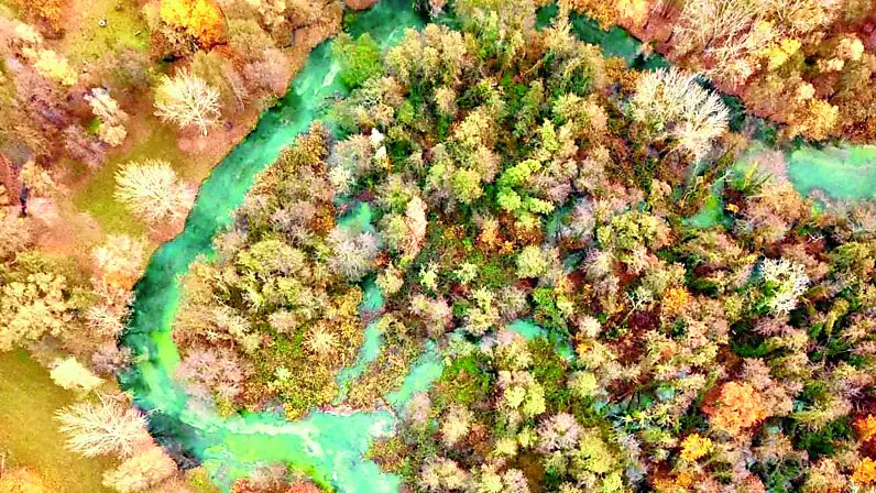Il fiume Stella immortalato da una foto aerea