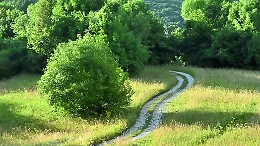 La zona del monte Craguenza dove si punta a realizzare le pale eoliche