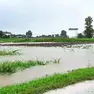 Allagamenti ad Aquileia