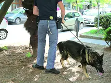 Controlli rafforzati, anche con ausilio di cani, in Borgo stazione (foto Petrussi)