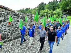 La sfilata degli alpini del gruppo di Buja ©Foto Petrussi