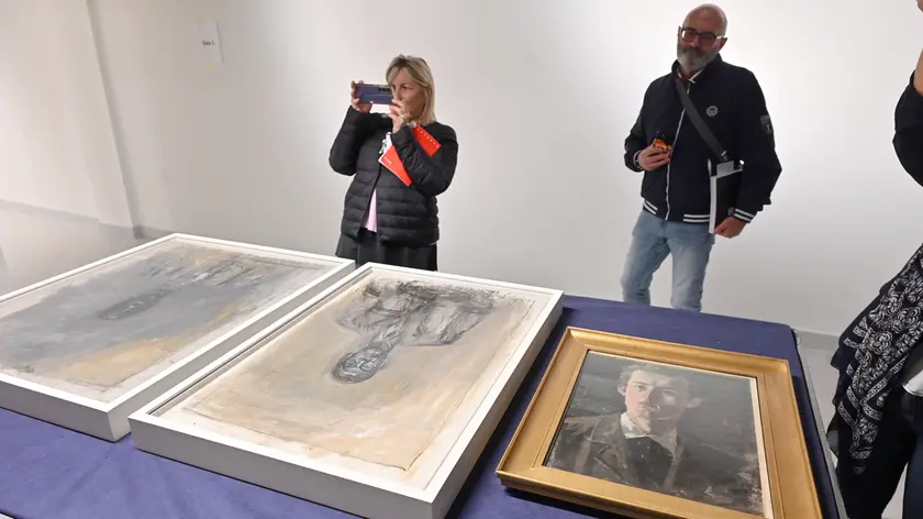 Alcune delle opere giunte a Villa Manin