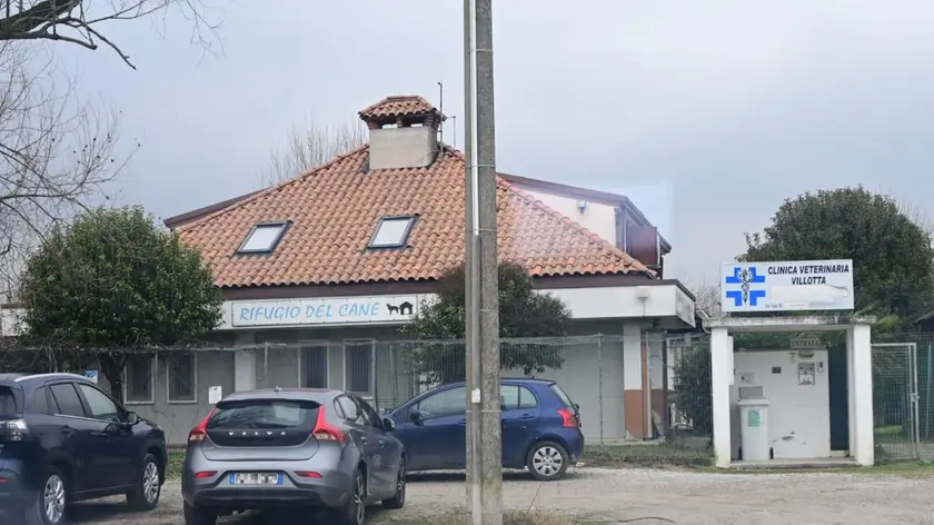 Canile di Villotta