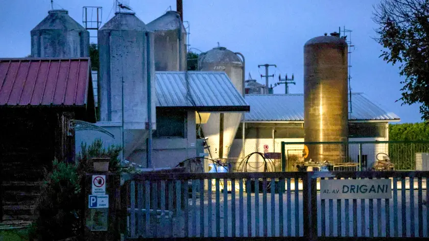 Azienda Avicola Drigani. © Foto Petrussi