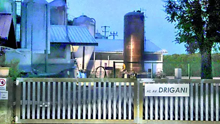 L’Agricola Drigani dove è stato registrato un caso di aviaria