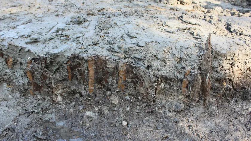 La palizzata US 14: la barriera continua di assi