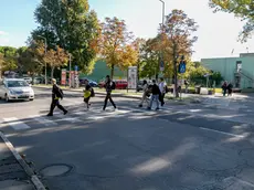 Via Valentinis a Monfalcone, dove è avvenuto l'investimento. Foto Bonaventura