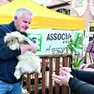 Gli animali della piccola fattoria allestita alla Fiera di San Simone a Codroipo: per la manifestazione questo è un ritorno foto petrussi