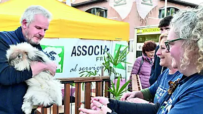 Gli animali della piccola fattoria allestita alla Fiera di San Simone a Codroipo: per la manifestazione questo è un ritorno foto petrussi