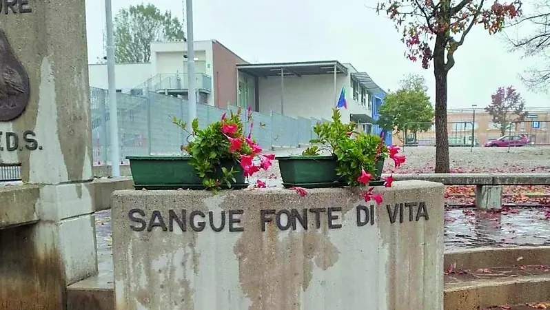 Il monumento al donatore dal quale sono state rubate le piante