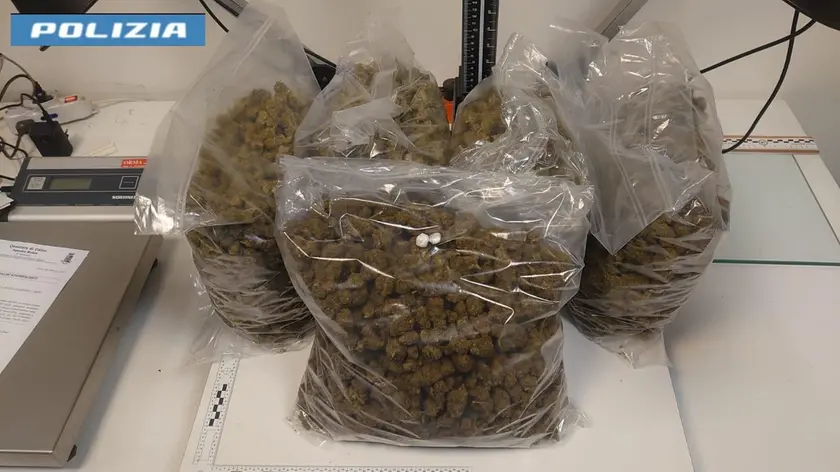 I tre pacchi contenenti marijuana sequestrati dalla polizia di Udine