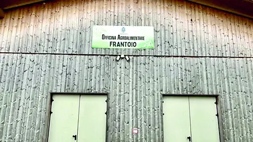 La facciata del frantoio di Caneva bucherellata da un picchio