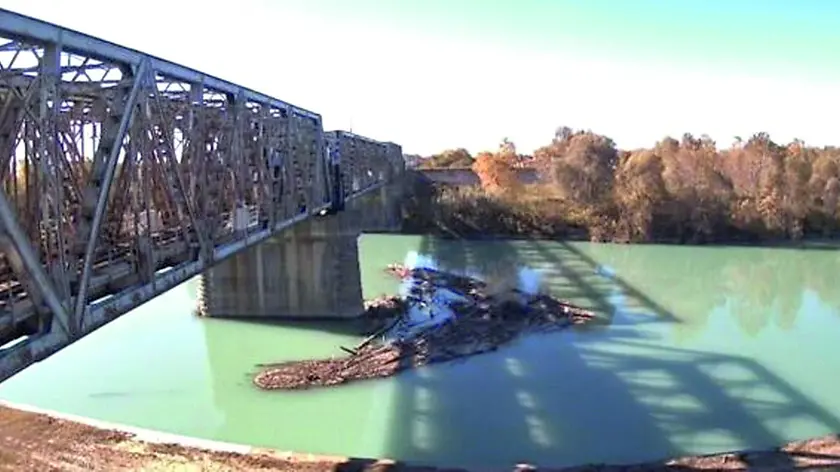 Il legname trasportato dalla corrente lungo il fiume Tagliamento, che rimane depositato tra i piloni del ponte ferroviario