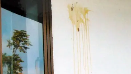 I ragazzini hanno lanciato uova contro l'ingresso di una casa (foto d'archivio)