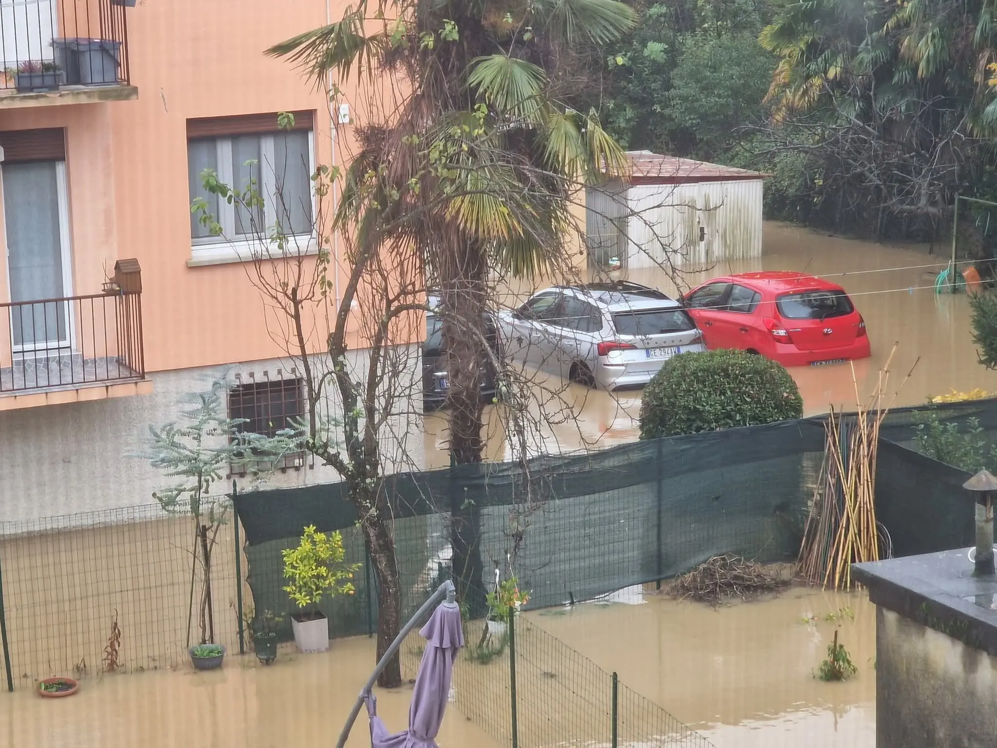 Da Palmanova a Chiopris Viscone, da Cormons a Romans d'Isonzo. Territori che dalla serata di domenica sono sott'acqua a causa del maltempo che sta complendo il Friuli Venezia Giulia. Ecco una carrellata di immagini