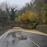 Collegamento interrotto: la frana sulla strada provinciale tra Dolegna del Collio e Brazzano