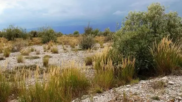 Uno scorcio dell'area naturalistica dei Magredi