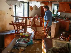 L’artista Dario Delpin nel salotto di casa tra pennelli e tele bagnate foto Tibaldi