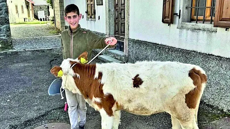 Antonio Di Piazza con la sua vitella per le strade del borgo di Tualis