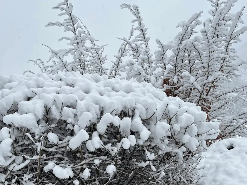 Ecco Forni di Sopra completamente innevata dopo le ultime precipitazioni, con accumuli consistenti nel centro abitato. La neve ha ricoperto tetti e strade, rallentando la viabilità ma senza creare criticità rilevanti