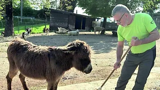Un volontario al lavoro all’interno della struttura