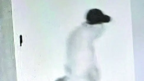 Il tentato furto è avvenuto a Fontafredda