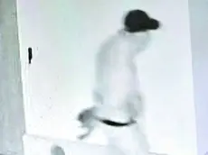 Il tentato furto è avvenuto a Fontafredda