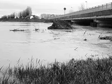 Lo Judrio in piena al ponte di Romans