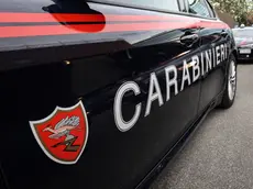 Indagano i carabinieri
