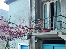 La porta danneggiata per entrare in casa