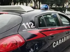 Intervenuti i carabinieri del Nucleo operativo radiomobile di Udine