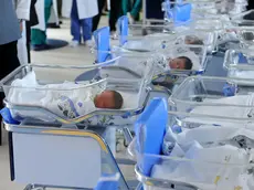 Un reparto maternità