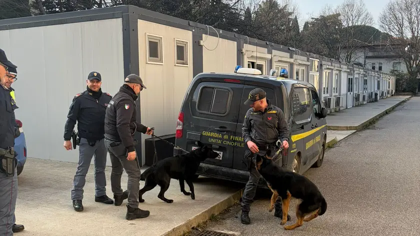 I cani Kurma e Krizia