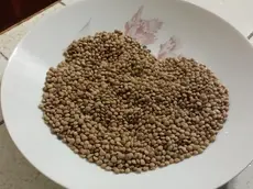 Malore dopo il pranzo, esofago perforato dalle lenticchie: salvato dal medico padovano