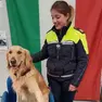 Winchester, l'agente a quattro zampe di Fontanafredda