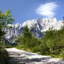 Una veduta della Foresta di Tarvisio