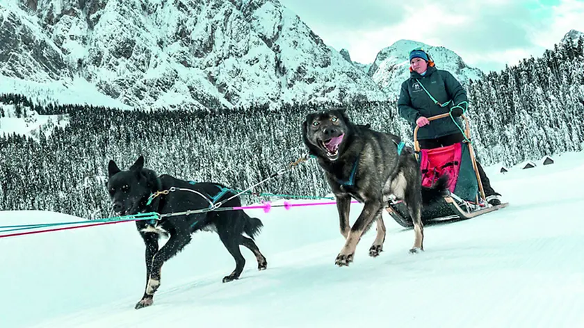 Ciaspole, cavallo, motoslitta, slitte con cani e molto altro: le opzioni sono ampissime per vivere la montagna friulana