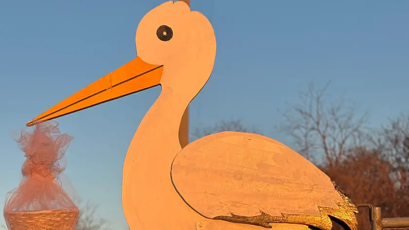 La cicogna per Anita Zanier