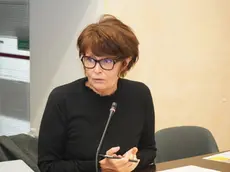 L'assessore regionale Alessia Rosolen