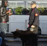 I carabinieri insieme al cane Darwin durante l’attività di controllo