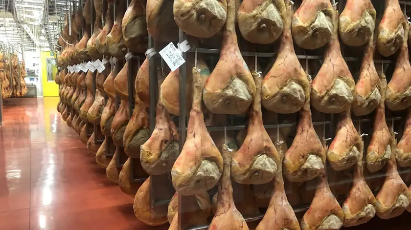 La stagionatura di alcuni prosciutti di San Daniele.