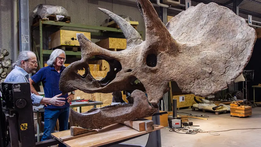 Vladislav Shabalin e Stefano Piccini intenti a restaurare Ozzy