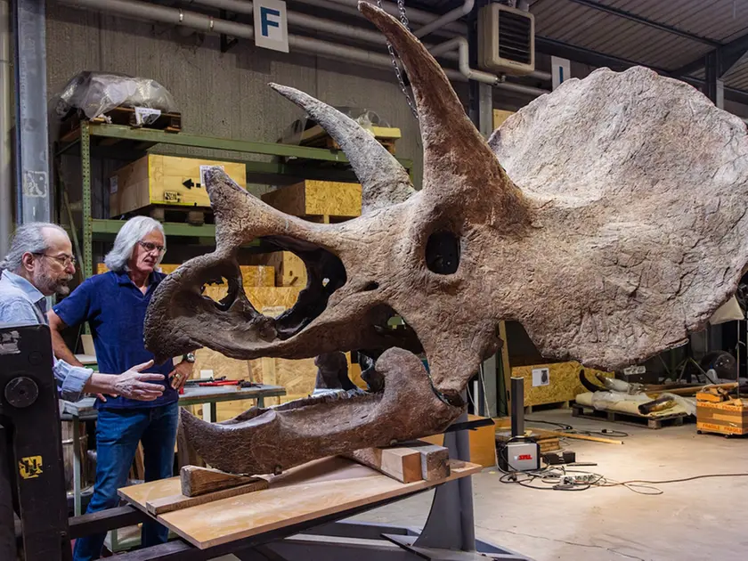 Vladislav Shabalin e Stefano Piccini intenti a restaurare Ozzy